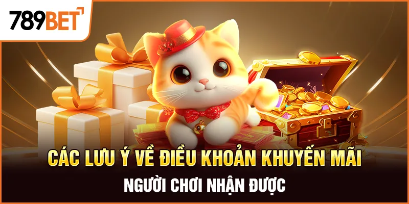 Các lưu ý về điều khoản khuyến mại người chơi nhận được Các lưu ý về điều khoản khuyến mại người chơi nhận được