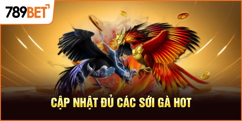 Cập nhật đủ các sới gà hot