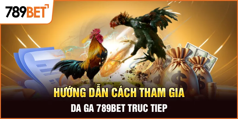Hướng dẫn cách tham gia da ga 789bet truc tiep