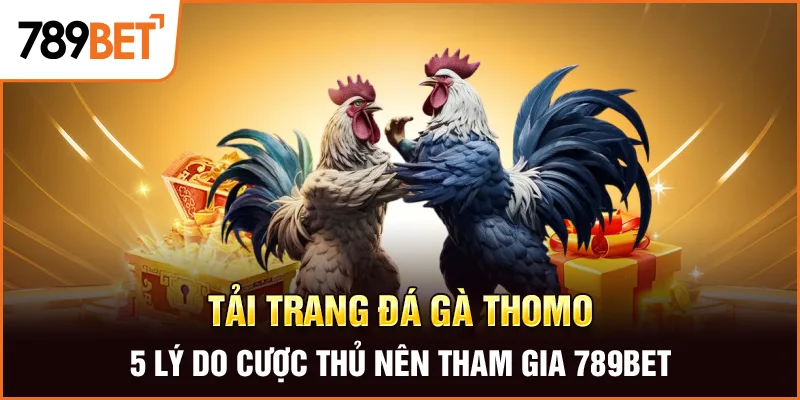 Tải Trang Đá Gà Thomo 5 Lý Do Cược Thủ Nên Tham Gia 789BET